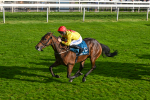 111024-Race 5-Vince LAmour-2015