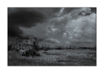 Orange County - Orlando Wetlands Park