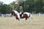 WJ7_4975