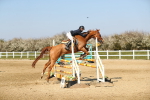 SBM_001075