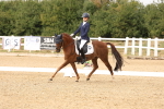 SBM_001856