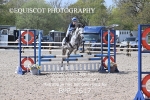 BPP_1617