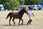 WJ6_8567
