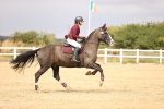 SBM_007652