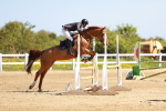 SBM_001397