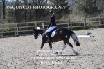 BPP_9665