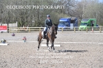 NOVICE 4 portfolio