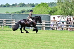 SBM_07988