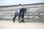 SBM_006478