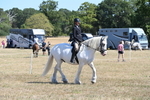 WJ6_8255