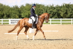 SBM_002783