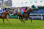 150526-Race 3-Warrant Holder-7558
