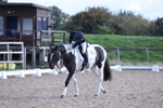 Class 9 - Advanced Medium 5 portfolio