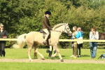 SBM_67467