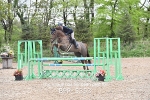 BPP_5353