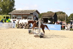 SBM_61933