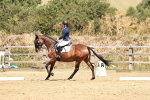 SBM_003006