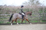 SBM_004644
