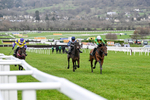 240126-Race 6-The New Lion-7459