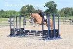 BPP_8653
