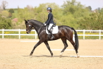 SBM_008365