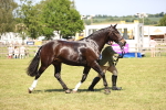 SBM_17942