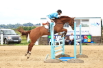 SBM_004329