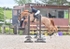 BPP_1576