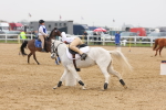 SBM_004311