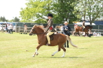 SBM_07693