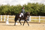 SBM_003335
