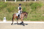 3E7A3636