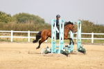 SBM_001351