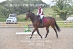 BPP_9865