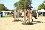 SBM_39297