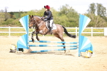 SBM_001994