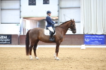 SBM_007895