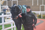 141125-Race 2-Mister Coffey-9261