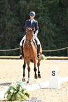 Class 4 Novice GOLD portfolio