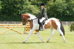 SBM_17579