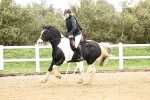 SBM_006507