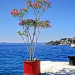 Croatia