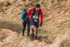 Loughrigg-981