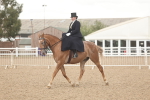 SBM_06326