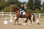SBM_022631