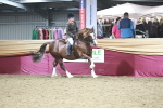 SBM_08927