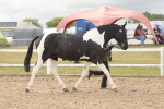 SBM_02085