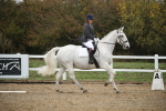 SBM_001555