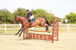 SBM_004349