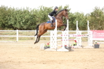 SBM_008881